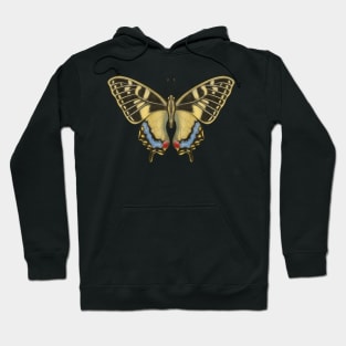 Luna Moth Hoodie